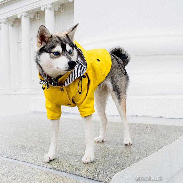 Süße Regenjacke