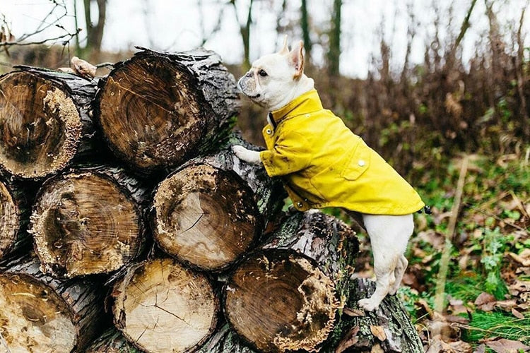 Süße Regenjacke