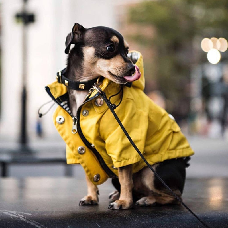 Süße Regenjacke